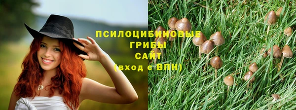 герыч Бородино