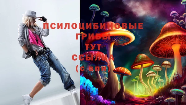 apvp Бугульма