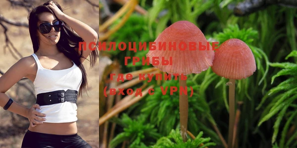 винт Бронницы