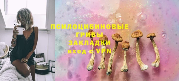 apvp Бугульма