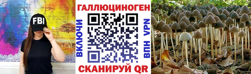 Галлюциногенные грибы Cubensis купить ОМГ ОМГ ссылки Динская